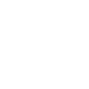 Foie de bœuf (500g)